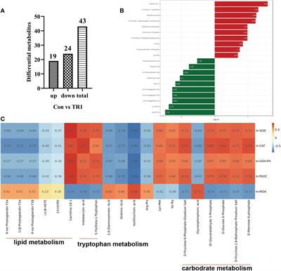 Transcriptomics and metabolomics analysis reveal the anti-oxidation and immune boosting effects of mulberry leaves in growing mutton sheep